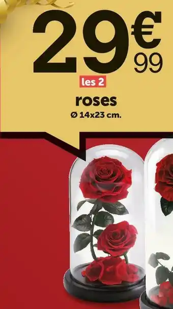 Centrakor Roses offre