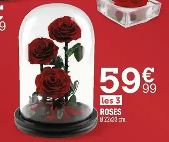 Centrakor Roses offre