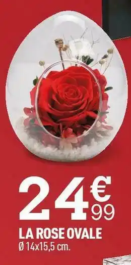 La rose ovale