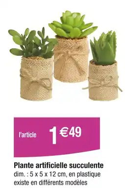 Carrefour Plante artificielle succulente offre