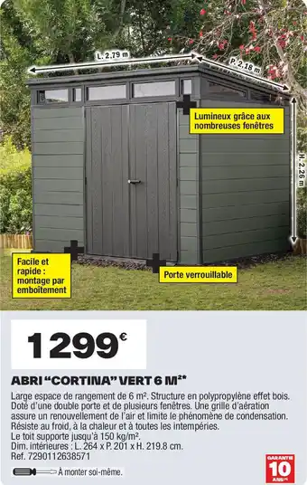 Brico Dépôt Abri "cortina" vert 6 m²* offre