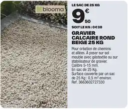 Brico Dépôt Gravier calcaire rond beige offre