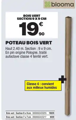 Brico Dépôt Poteau bois vert offre