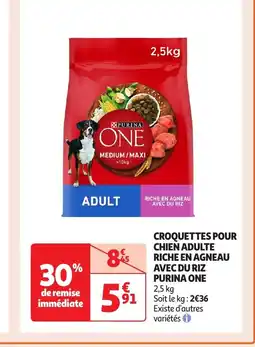 Auchan PURINA ONE Croquettes pour chien adulte riche en agneau avec du riz offre