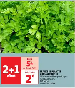 Auchan Plants de plantes aromatiques offre