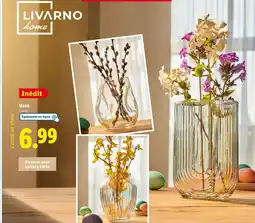 Lidl LIVARNO home Vase offre