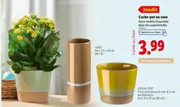 Lidl Cache-pot ou vase offre