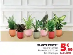 Super U Plante verte offre