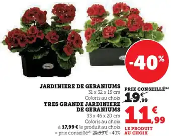 Super U Jardiniere de geraniums, tres grande jardiniere de geraniums offre