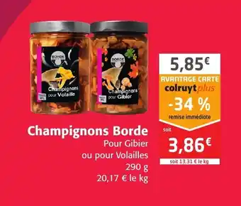 Colruyt Champignons Borde offre