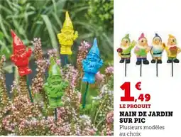 Super U Nain de jardin sur pic offre