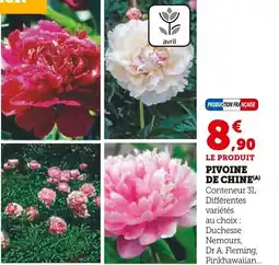 Super U Pivoine de chine offre