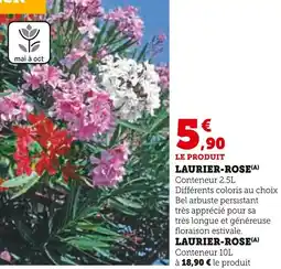 Super U Laurier-rose offre