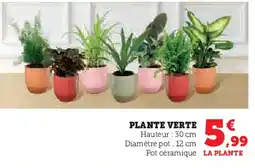 Hyper U Plante verte offre