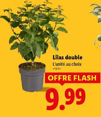 Lidl Lilas double offre