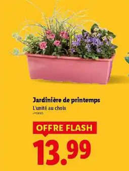 Lidl Jardinière de printemps offre