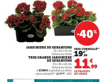 Hyper U Jardiniere de geraniums offre