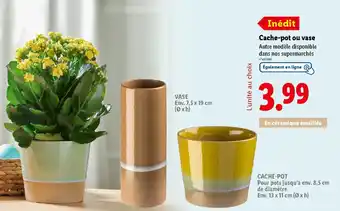 Lidl Cache-pot ou vase offre