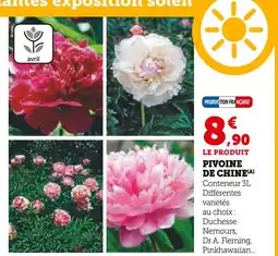 Hyper U PIVOINE DE CHINE(A) offre