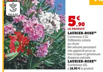 Hyper U Laurier-rose offre