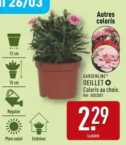 ALDI GARDENLINE Oeillet offre