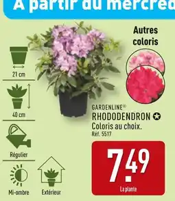 ALDI GARDENLINE Rhododendron offre