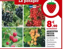 Super U Production Française Arbustes Petits Fruits offre