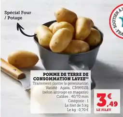 Bi1 Pomme de terre de consommation lavee offre