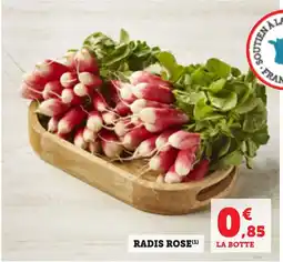 Bi1 Radis rose offre