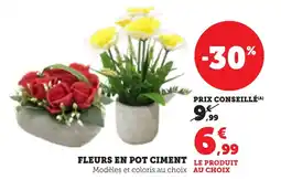 Bi1 Fleurs en pot ciment offre