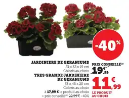 Bi1 Jardiniere de geraniums tres grande jardiniere de geraniums offre