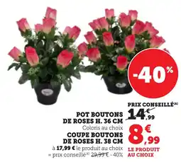 Bi1 Pot boutons de roses h. 36 cm coupe boutons de roses h. 38 cm offre