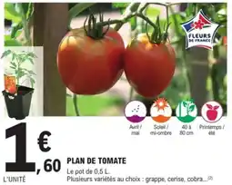 E.Leclerc Brico Plan de tomate offre