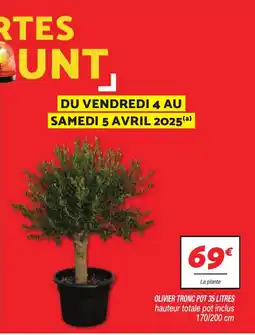 Netto Olivier tronc pot offre