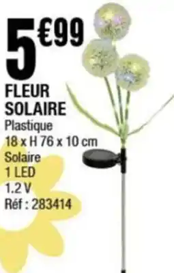 La Foir'Fouille Fleur solaire offre