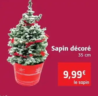 Colruyt Sapin décoré offre