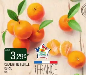 Clémentine feuille corse