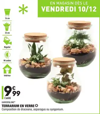 ALDI Terrarium en verre offre
