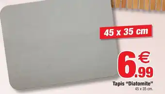 Bazarland Tapis Diatomite offre