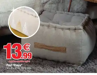 Bazarland Pouf Freya offre