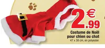 Costume de Noël