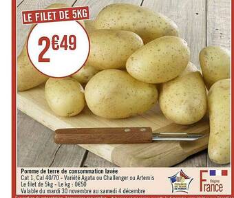 Pomme De Terre De Consommation Lavée