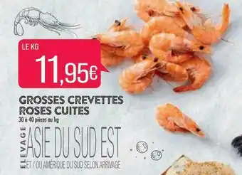 Grosses Crevettes Roses Cuites