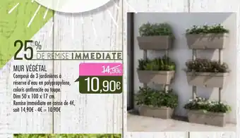 Match Mur végétal offre