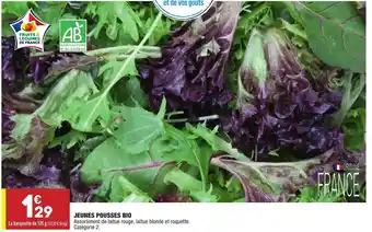 ALDI Jeunes pousses Bio offre
