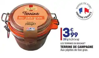 Terrine de campagne