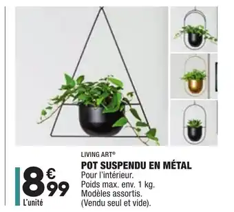 ALDI Pot suspendu en métal offre