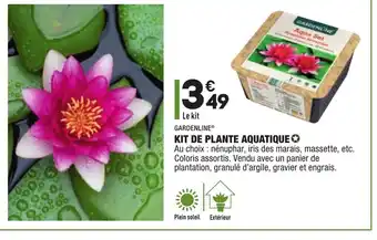 ALDI Kit de plante aquatique offre