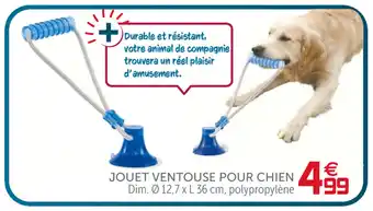 Jouet ventouse pour chien
