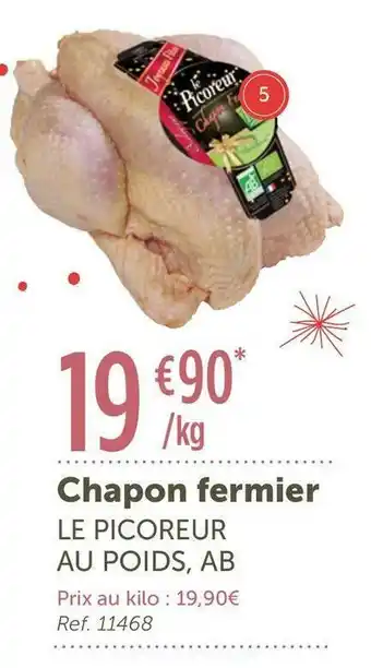 Le picoreur chapon fermier